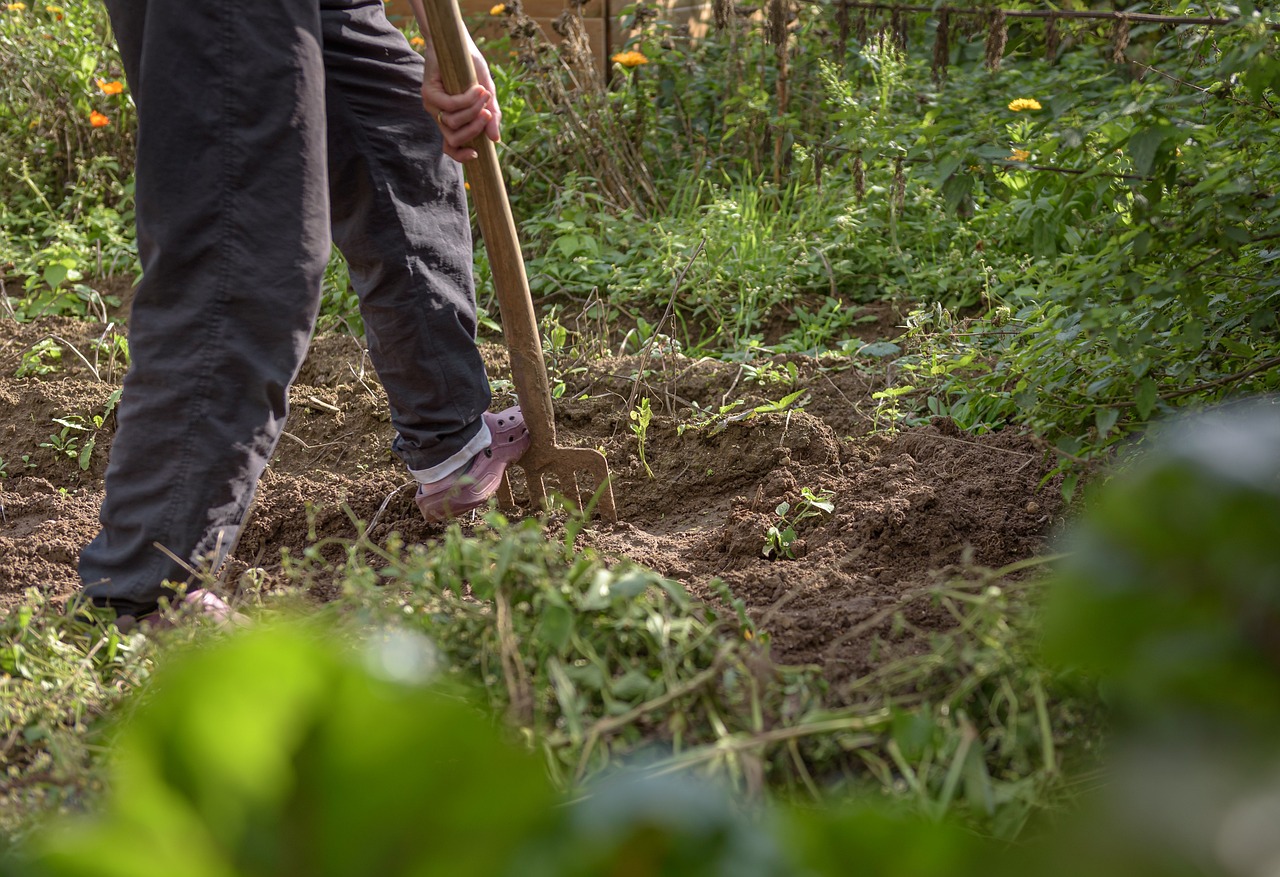 Gardening services